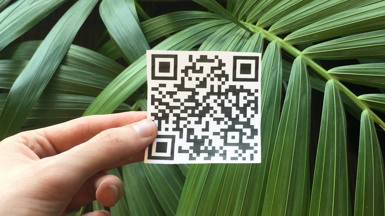 Для иностранных туристов на границах Казахстана планируют внедрить QR-коды