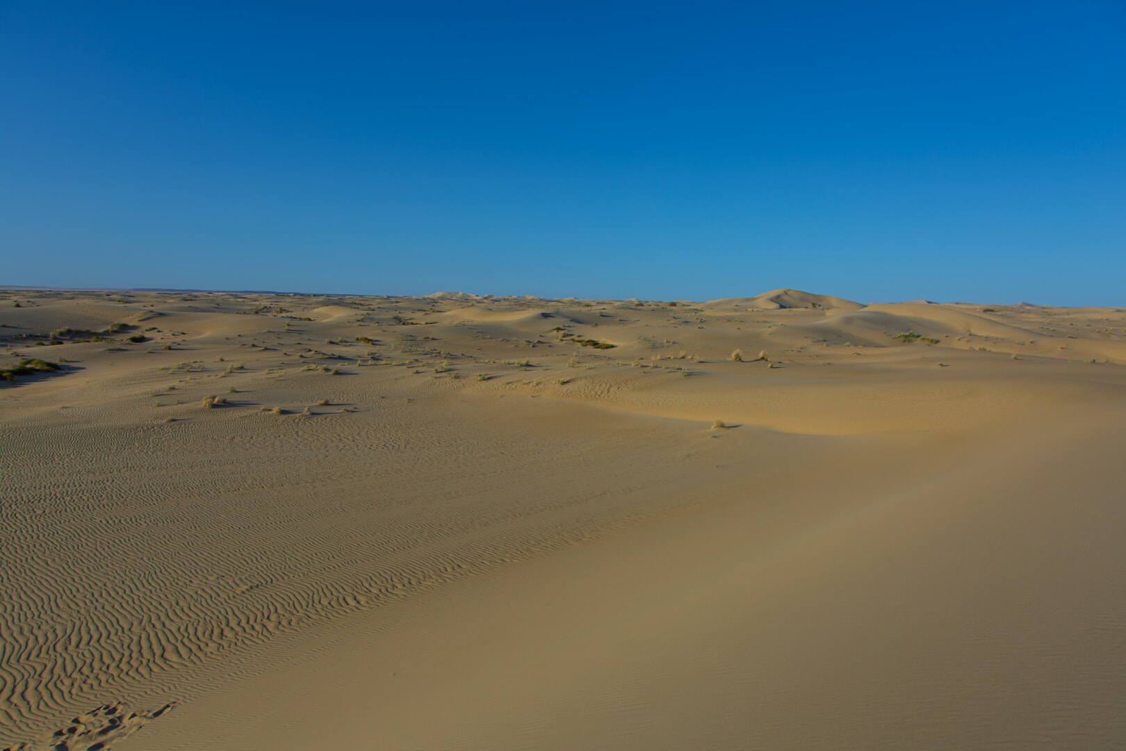 The «Accum» sands