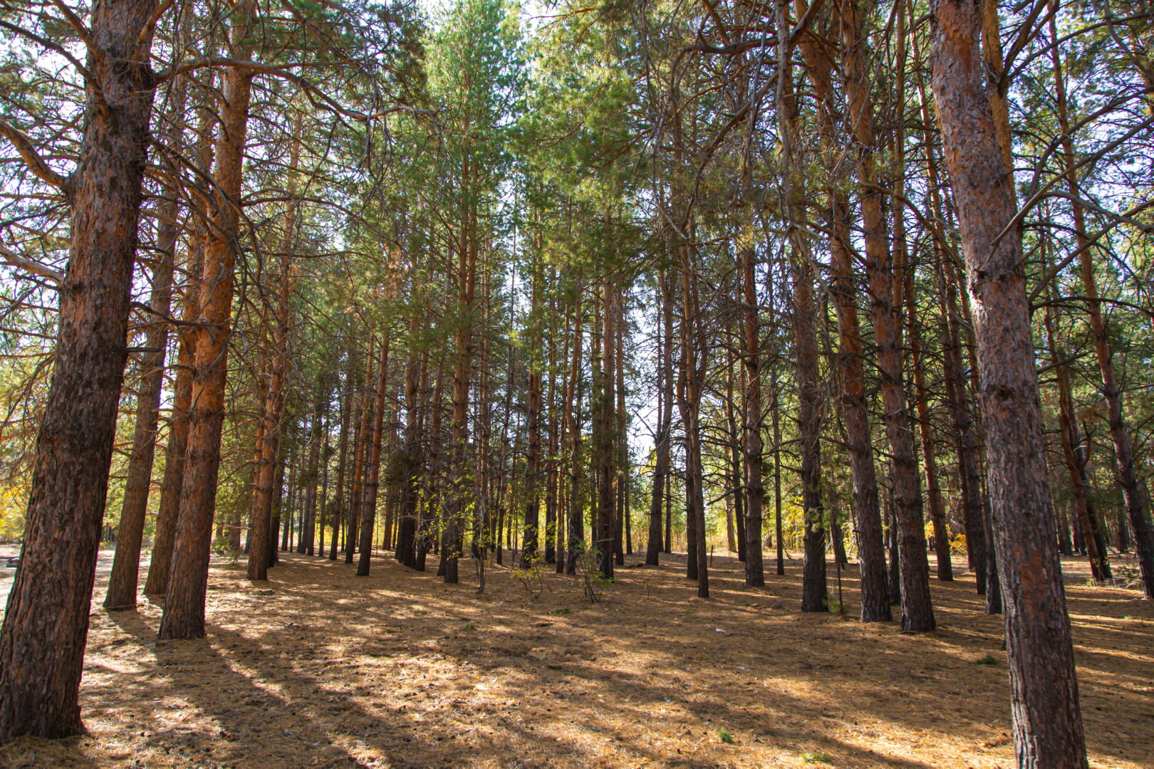 "Orkash" nature reserve