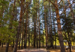 "Orkash" nature reserve