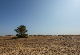 "Orkash" nature reserve