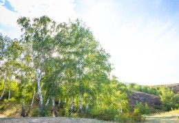 «Mute» village