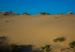 The «Accum» sands