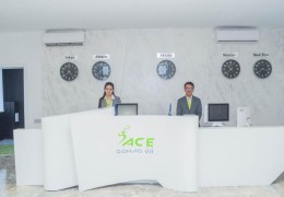 ACE қонақ үйі