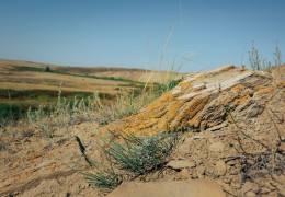 «Aidarlyasha» geomorphological incision