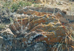 «Aidarlyasha» geomorphological incision